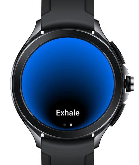 Xiaomi Watch 2 Pro (Silver)